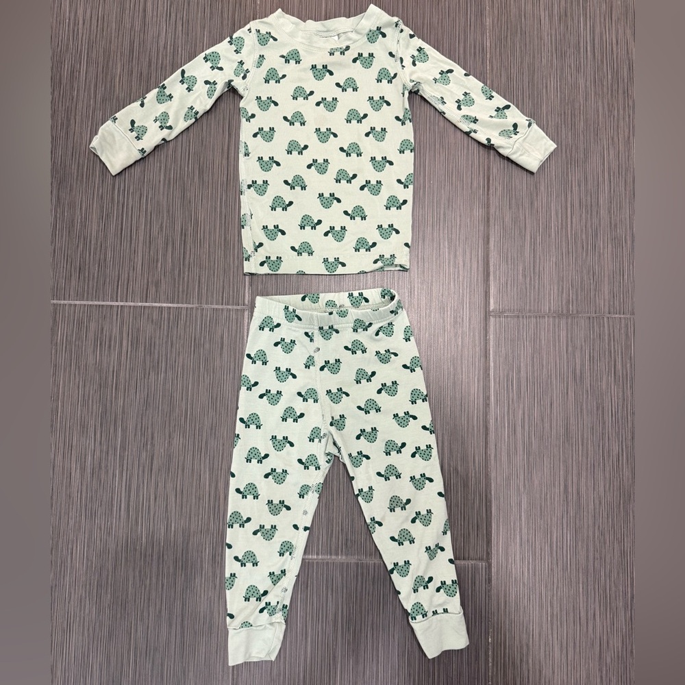 Hanna Andersson Pajama Set in HannaSoft- turtles 2T